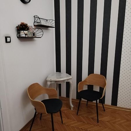 Apartment Korzo 诺威萨 外观 照片